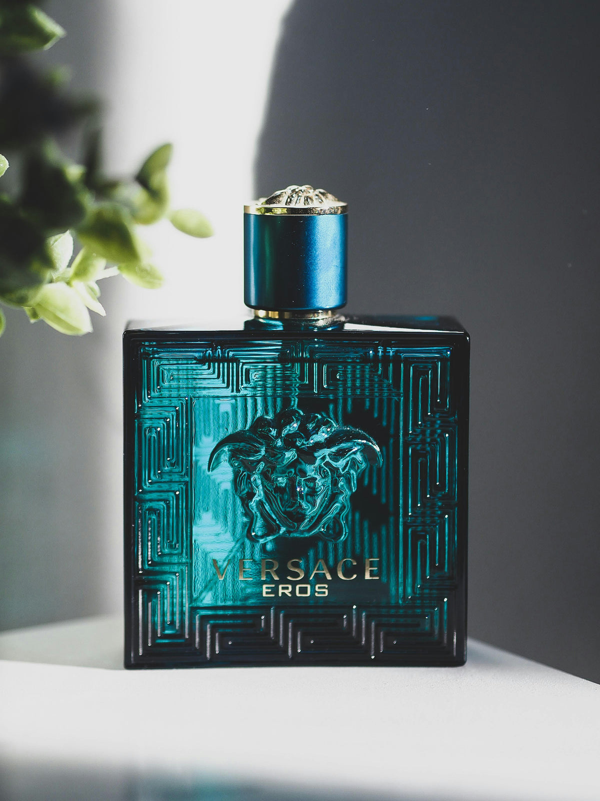 VERSCE EROS